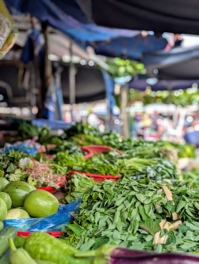 I go with my lantern...