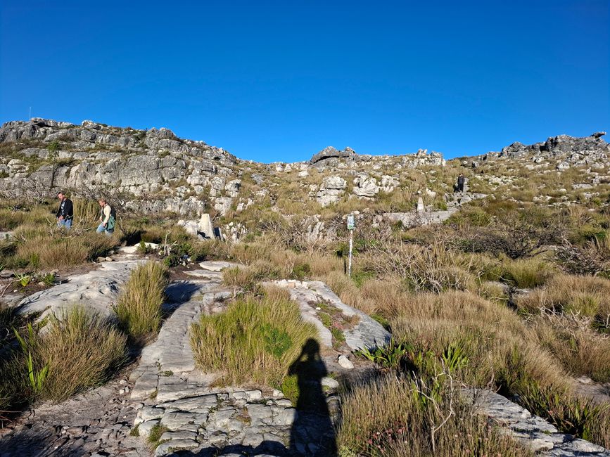 Caminata por la Montaña de la Mesa