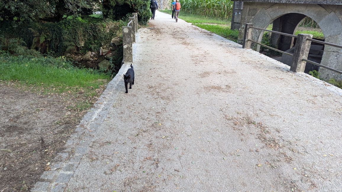 Dreizehnte Etappe auf dem Camino Portugues von Padron nach Santiago de Compostela