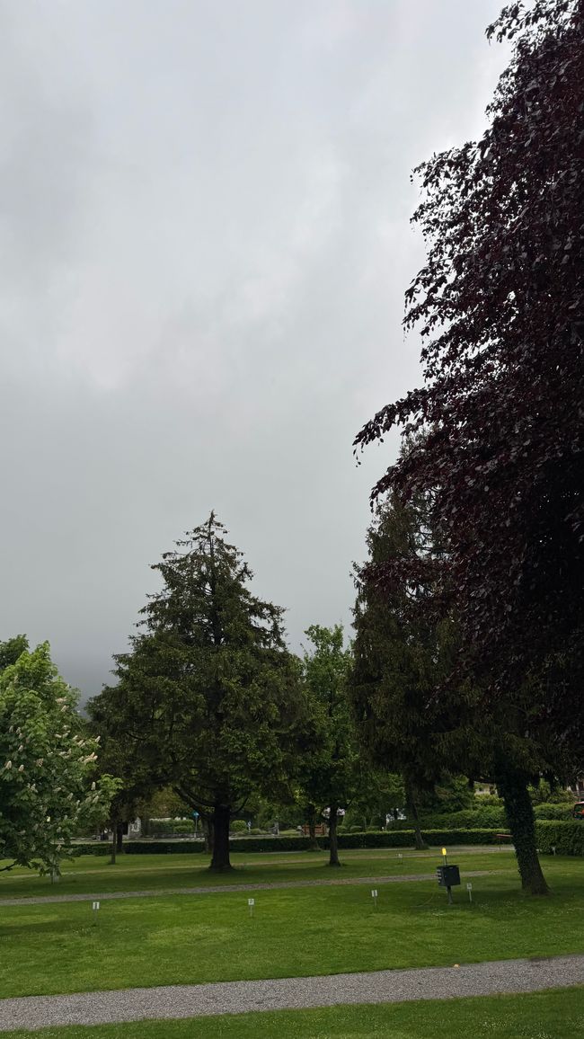 Abschied im Regen – Heimreise nach einer unvergesslichen Tour