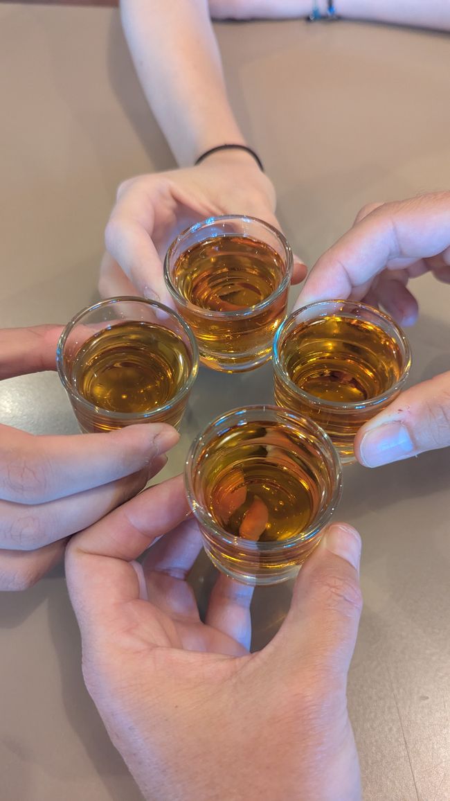 Tag 9: Funchal - mit einer rasanten Schlittenfahrt