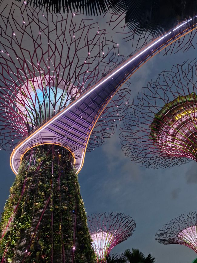 Gardens by the Bay