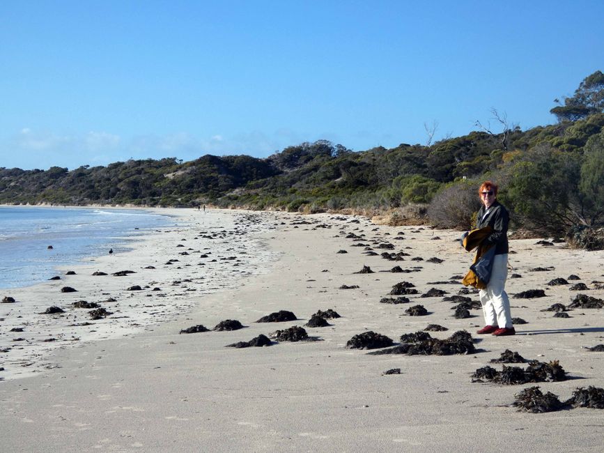 Emu Bay und Stokes Bay, Kangaroo Island