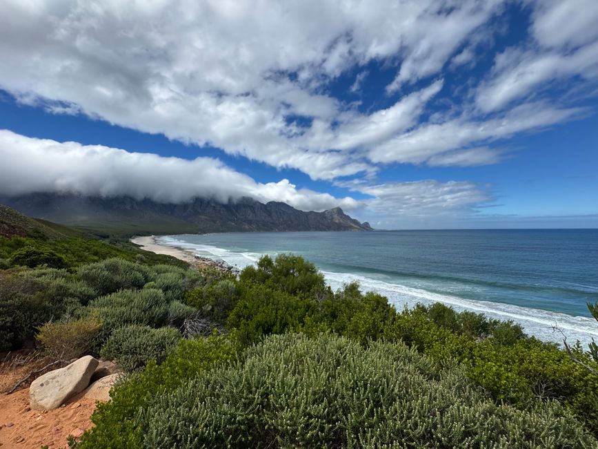 South Africa🇿🇦Week 6