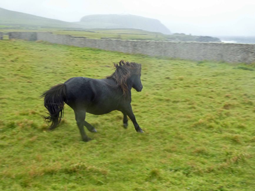 Lerwick, 27 de agosto de 2024