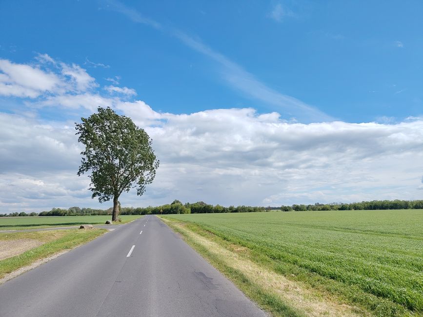 Der Wind