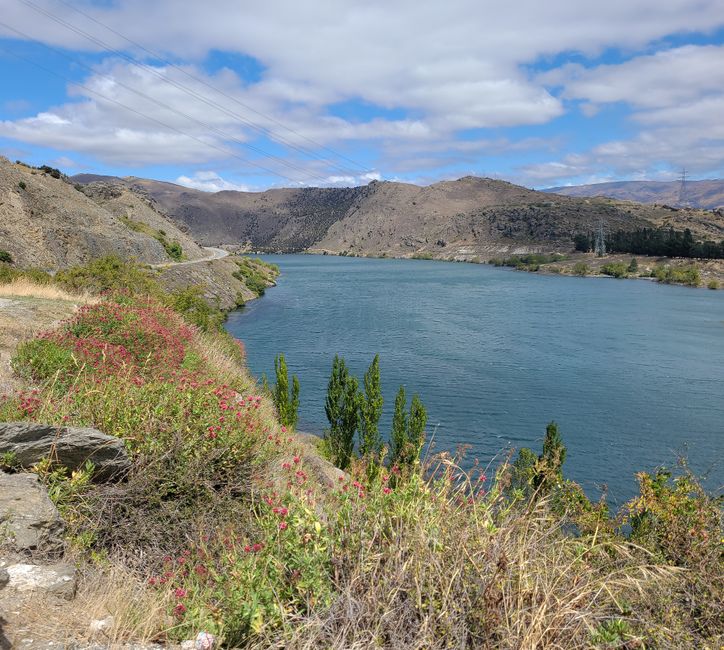 29.Januar-27.Februar 2025Neuseeland
10.Februar