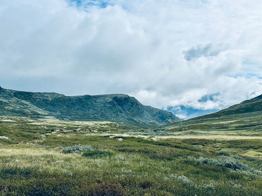 Promenade avec une brise légère - Impressions de Høvringen