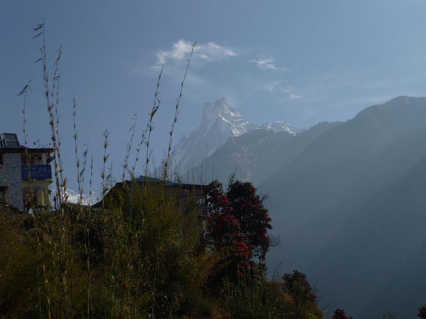 Hello Nepal