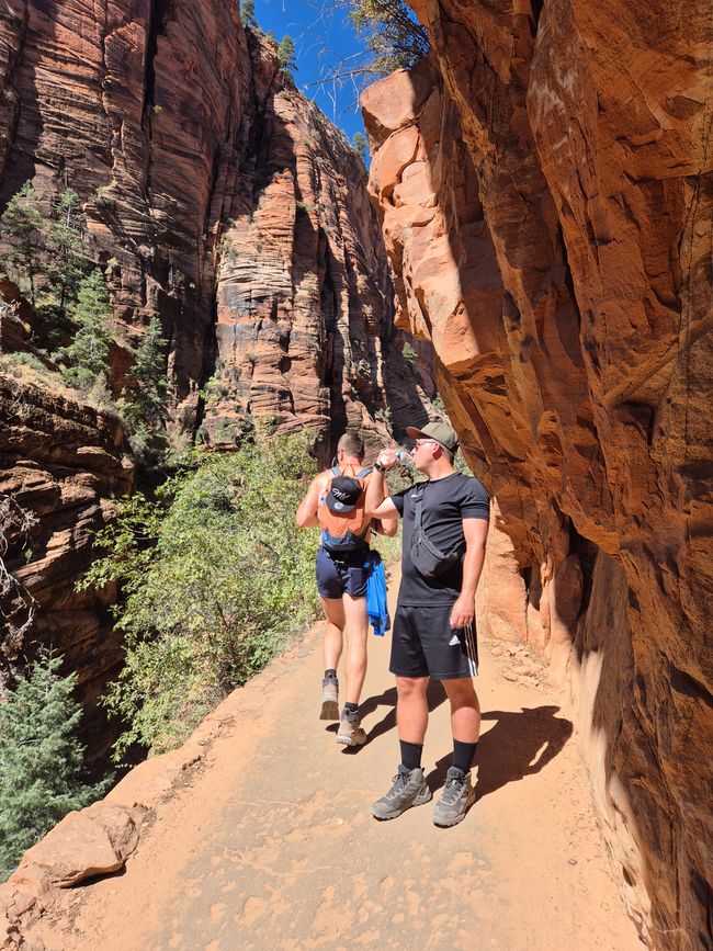 02.10. Parque Nacional Zion