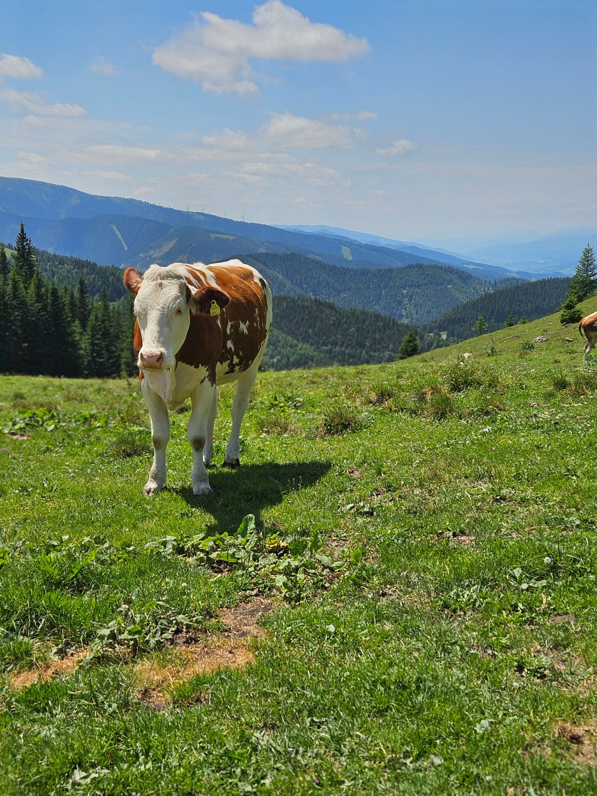 Semmering
