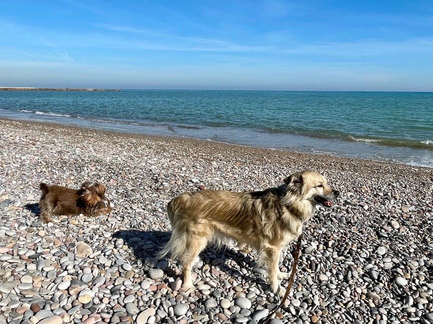 Emmi and Pipo also enjoy the view of the wide sea on the beach.