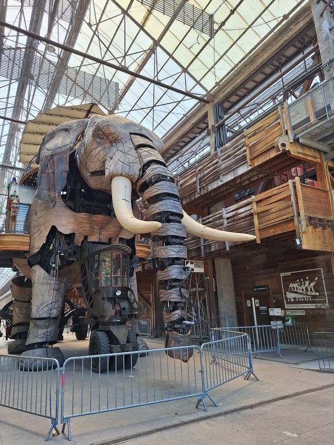 L'éléphant