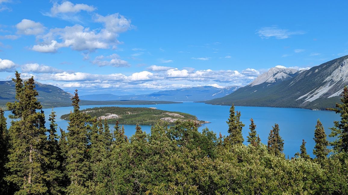 Etiqueta 21: Alrededor de Whitehorse: Cachorros de husky, Lago Esmeralda y el desierto más pequeño del mundo