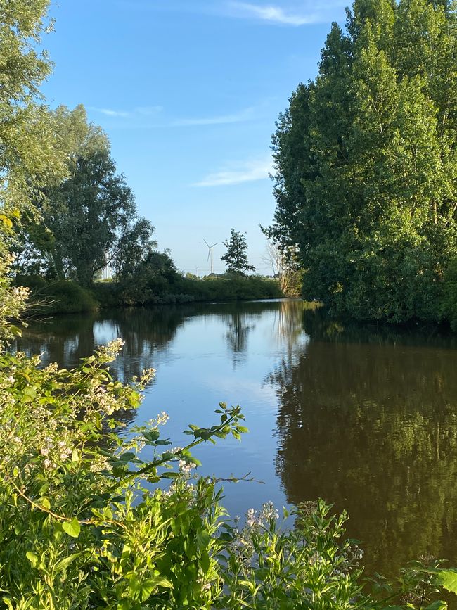 Auf dem Festland ein Spaziergang an der Harle