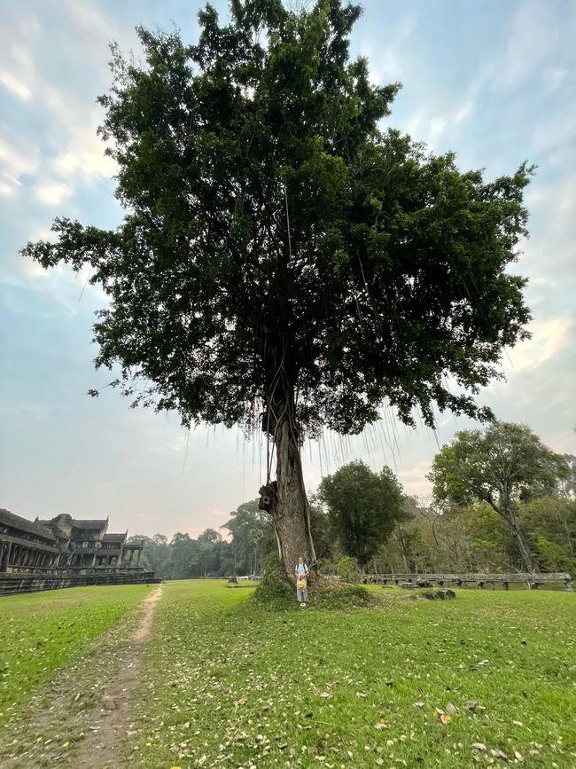 Mein Highlight von Angkor Wat