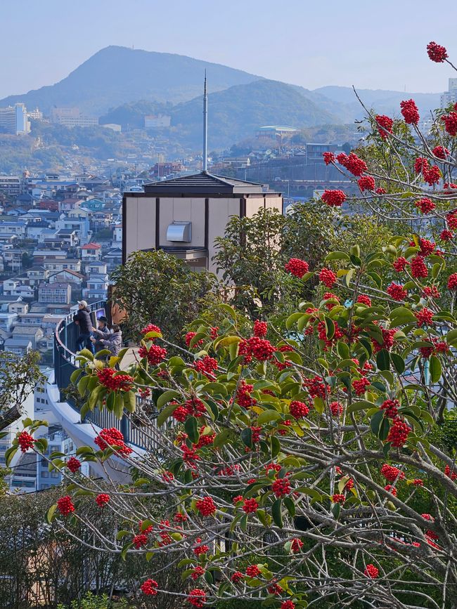80.Tag Nagasaki, Japón 12.02.2026