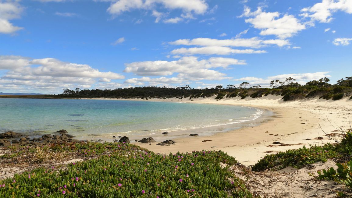 - Singapur & Tasmania 2019 -