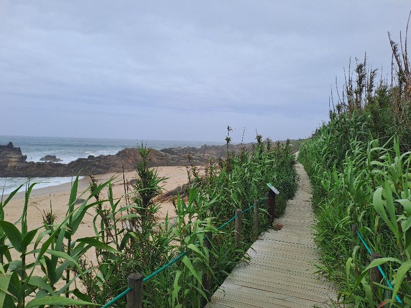 1. Etapa: Porto - Vila do Conde