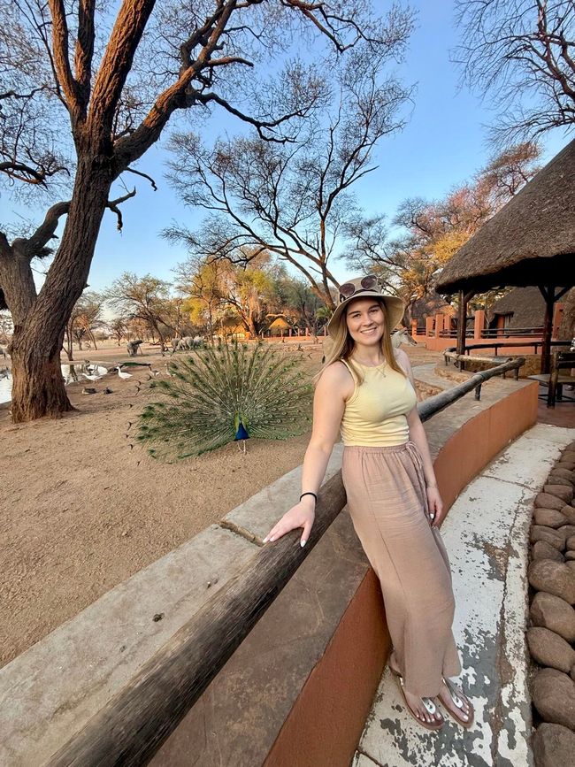 Namibia 2k25 🦓🏜️🐘