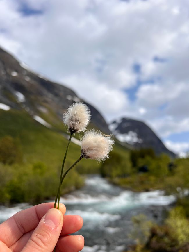 Südnorwegen hat mich in seinen Bann gezogen