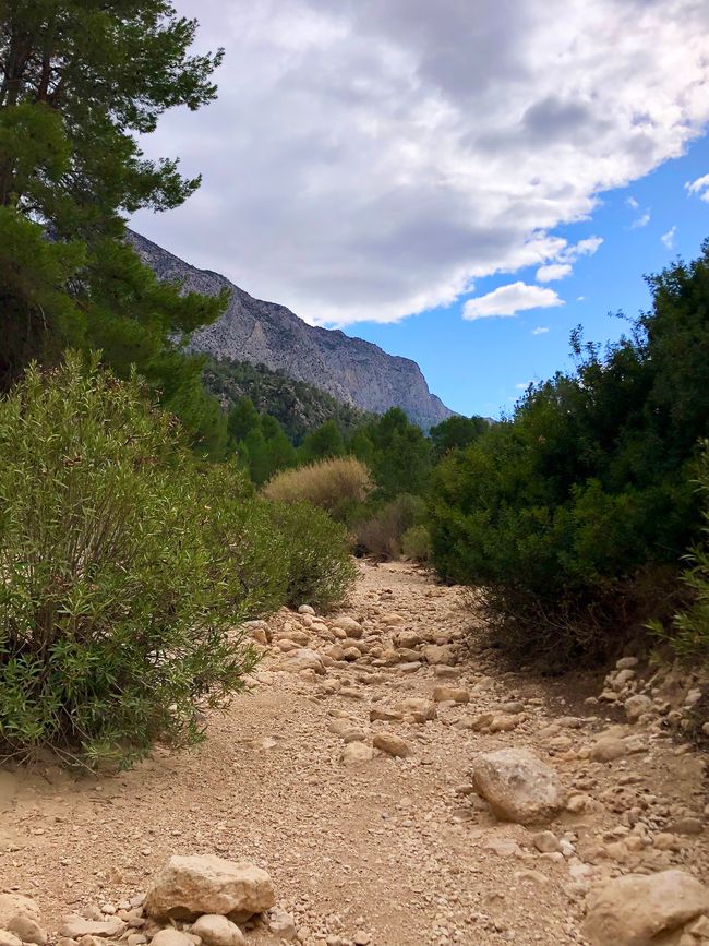 The dry riverbed was ideal for a short hike.