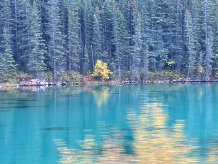 Tag 12 - 🏔️ Wasserfälle, Wetterkapriolen & Wellness – ein (fast) perfekter Tag in Jasper