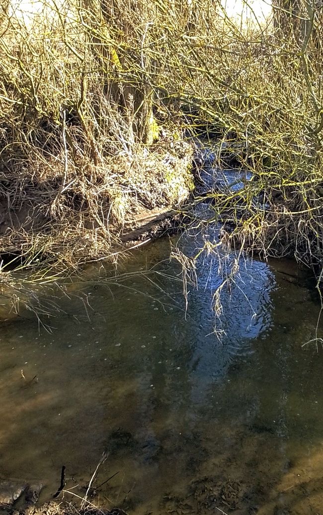 Wir bauen ein Fundament - Horizonte entdecken, Werte checken