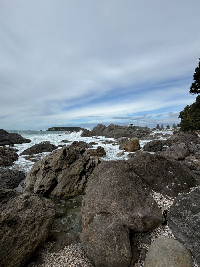 Blick auf den Pazifik vom Mount Maunganui