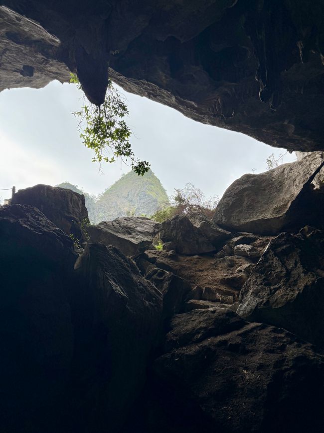 Vue