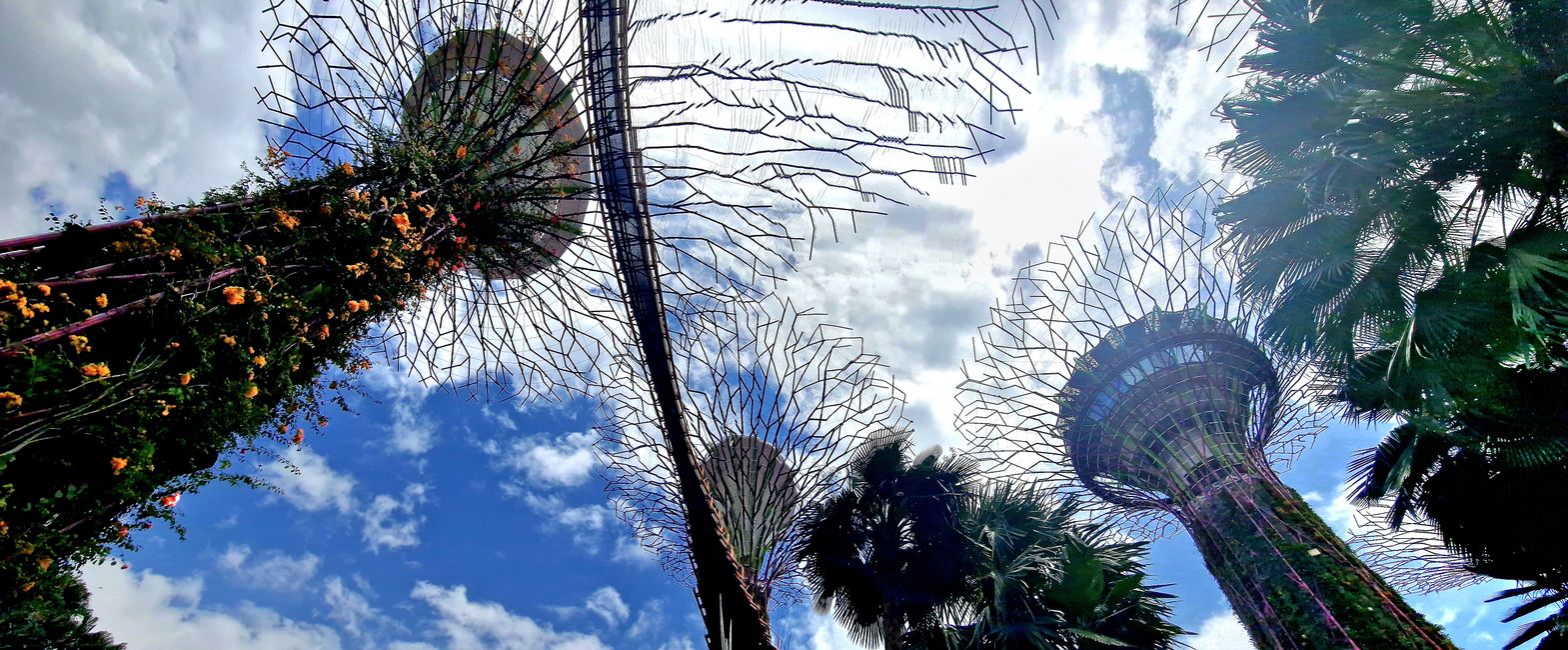 Gardens by the bay