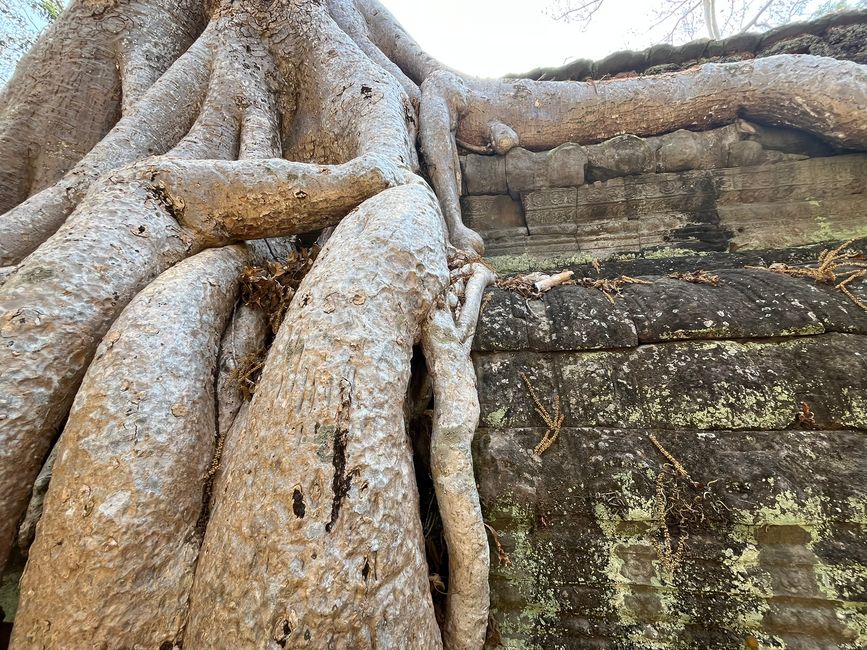 Ta Prohm