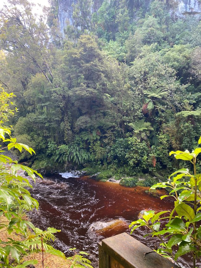 Verso Karamea