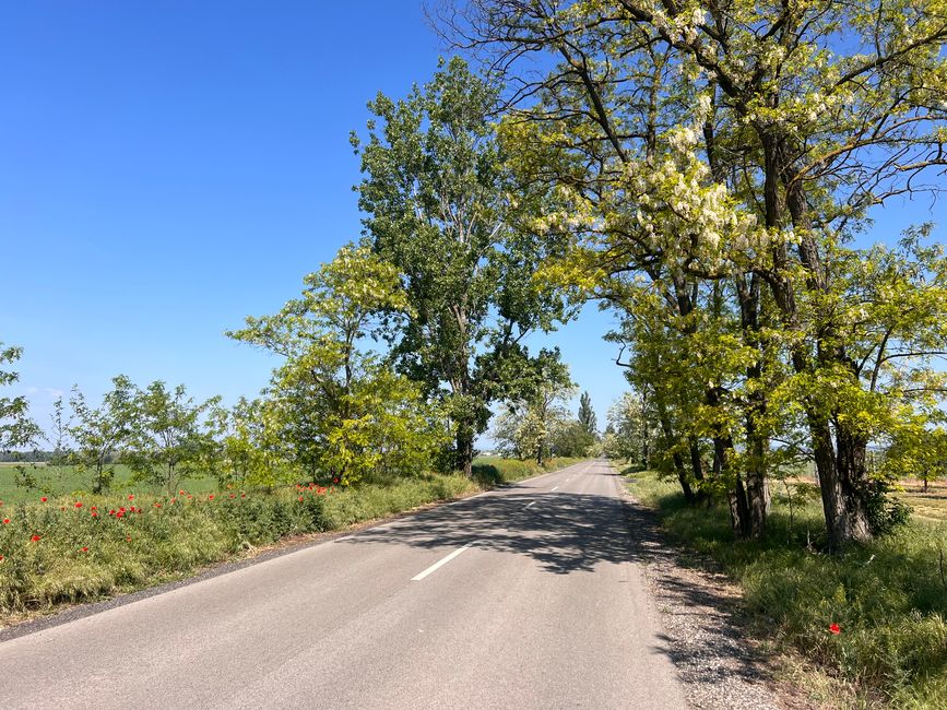09 nach Balatonfüzfö