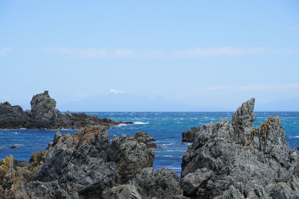 Owhiro Bay