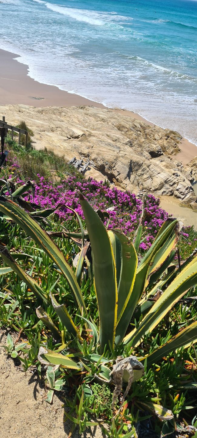 1. Etappe Sines - Porto Covo