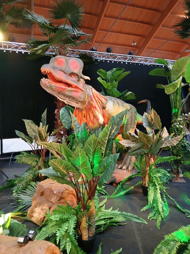 Dino Fever in Friedrichshafen: An Honest Look into the "Kingdom of Dinosaurs"