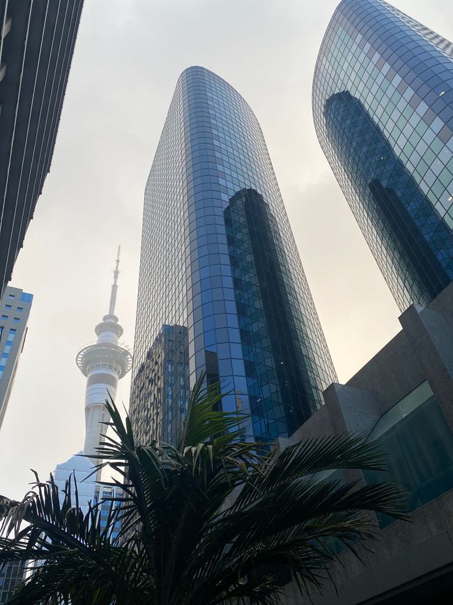 Auckland numero 1