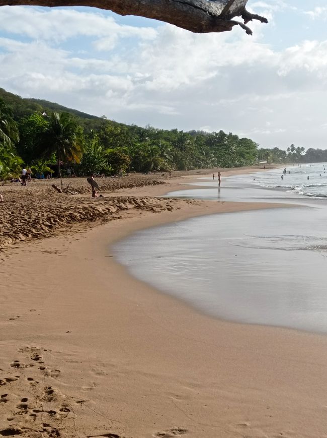 Erfrischung im Dschungel und an einem der schönsten Strände von Guadeloupe