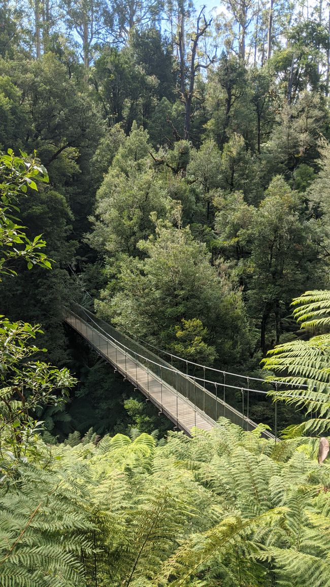 Tarra Bulga & Raymond Island