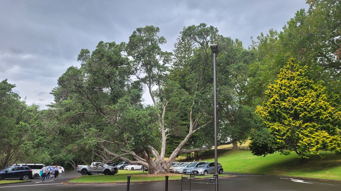 29.Januar-27.Februar 2025 Neuseeland
20.Januar