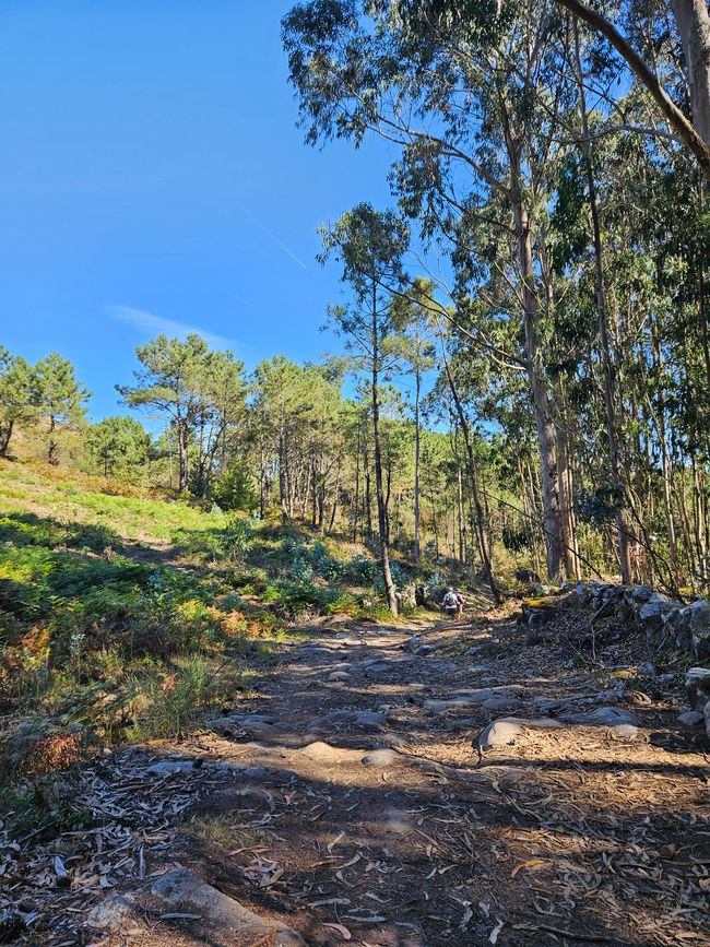 Camiño da Portela