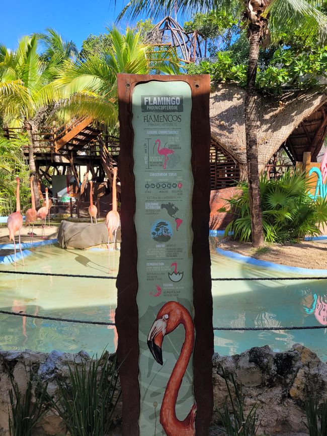 Día 30 de 175: Crucero alrededor del mundo - Mahahual/Costa Maya/México