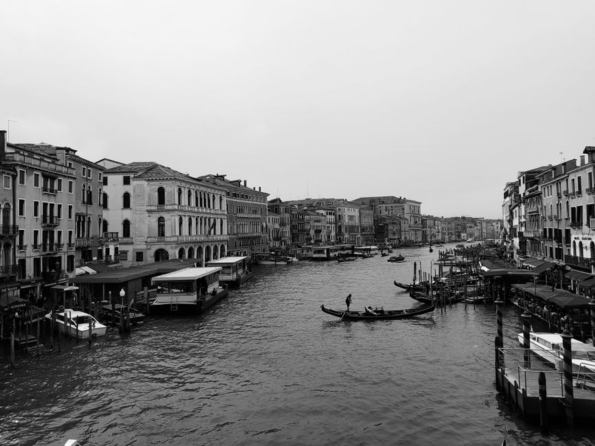 Venice, why?