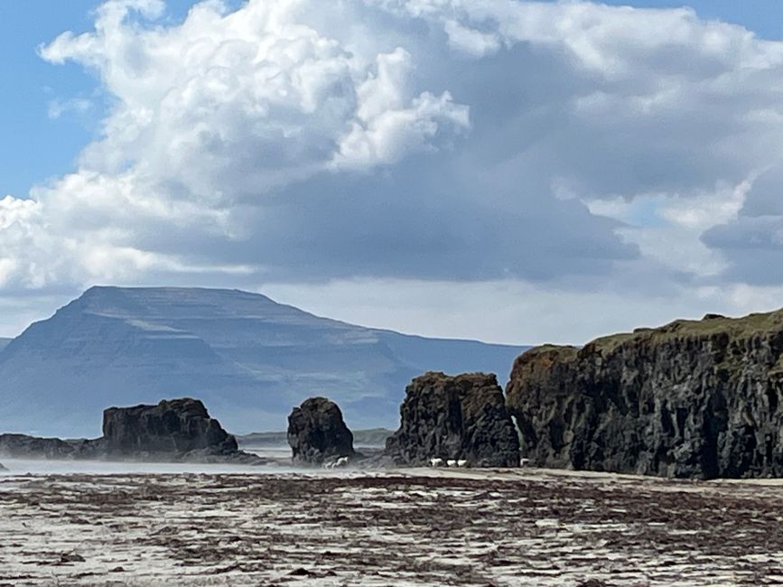 Von Reykholar nach Breidavik