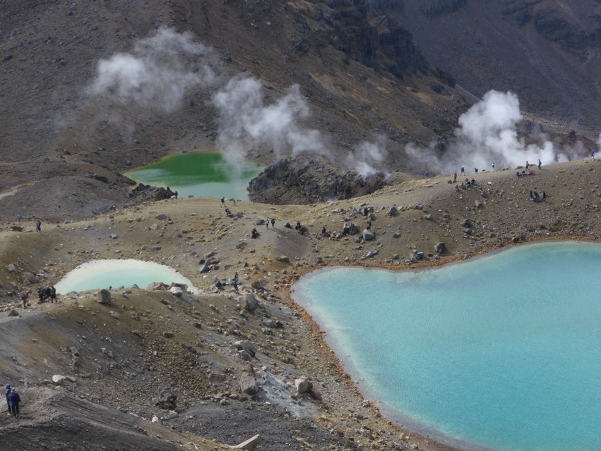 2025-03-29 Tongariro, Timber Trail and ...