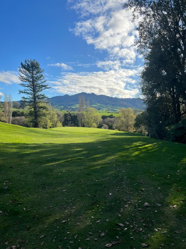 Die letzten Tage auf Normans Farm und Autokauf in Auckland