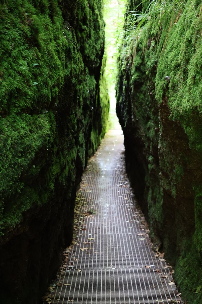 Discover Germany anew