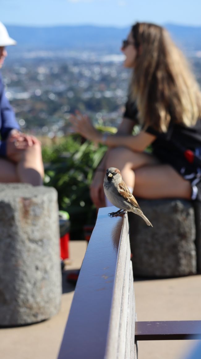 Testen der Kamerafunktionen ;)