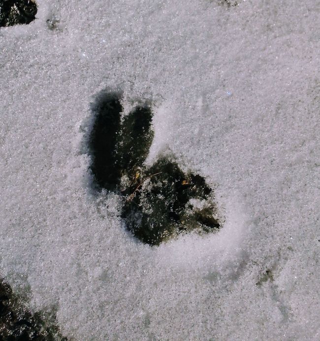 Reset - Neve di ieri, o quale fondamento vuoi costruire?